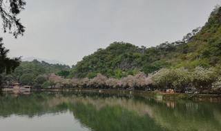 七夕肇庆好去处 肇庆七星岩好玩吗