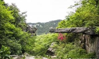 庐山南门一日游攻略路线 庐山旅游攻略一日游