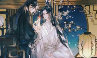 二哈和他的白猫师尊剧情介绍 二哈和他的白猫师尊漫画