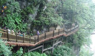 湖北神农架旅游景点有多少 神农架旅游景点