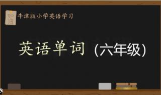 小学六年级单词各种形式 六年级上册英语单词