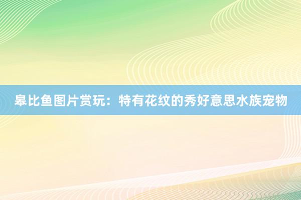 皋比鱼图片赏玩：特有花纹的秀好意思水族宠物